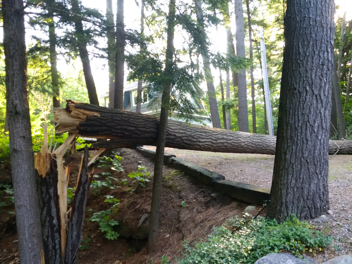 Was there a wind storm this past week <a href="/KennisisLake/">Kennisis Lake</a> ? Lost a huge tree.