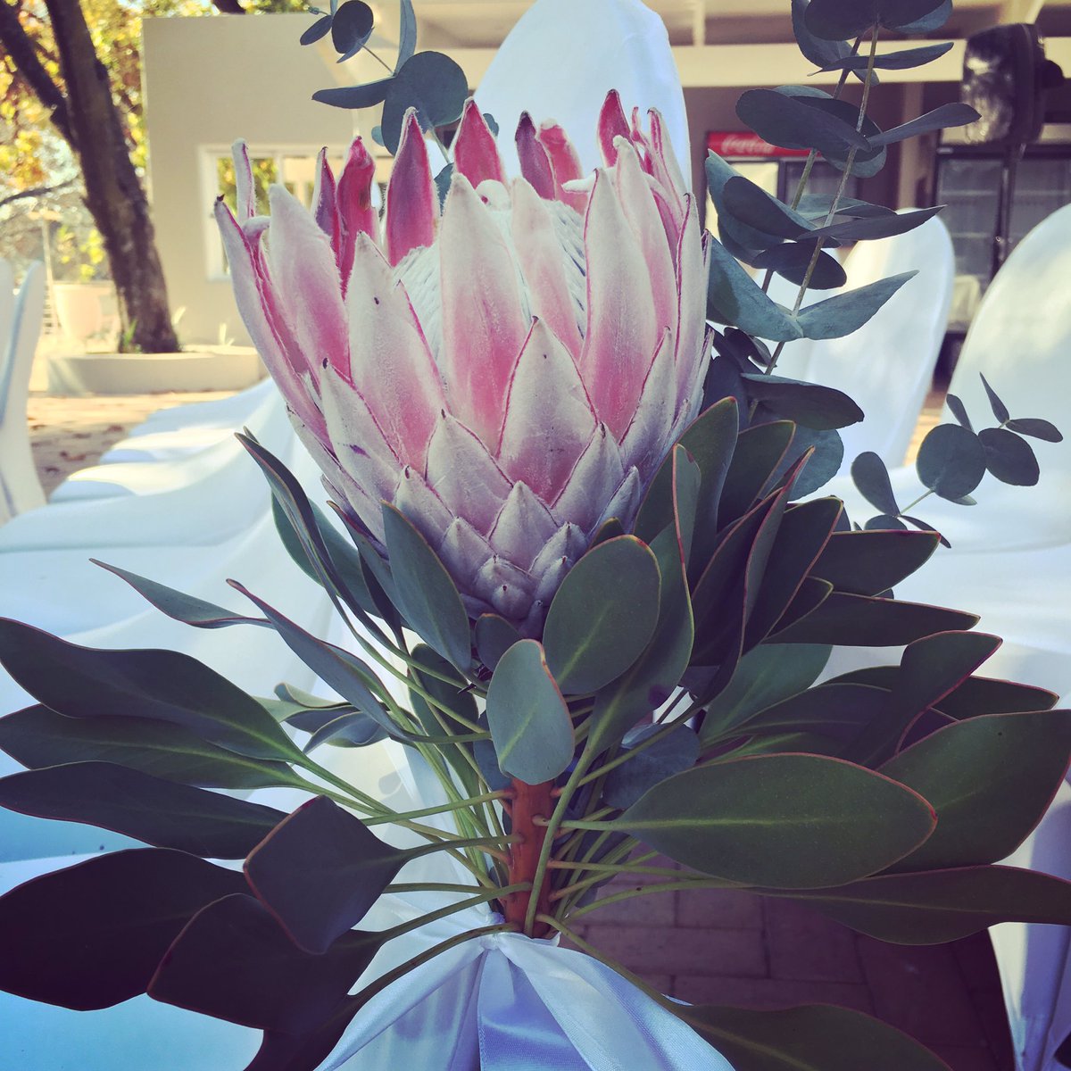 WeddingSchoolSA's tweet photo. Attention to detail at this afternoons #WeddingWish wedding #weddings #protea #flowers #herecomesthebride https://t.co/bf1dknDPeL