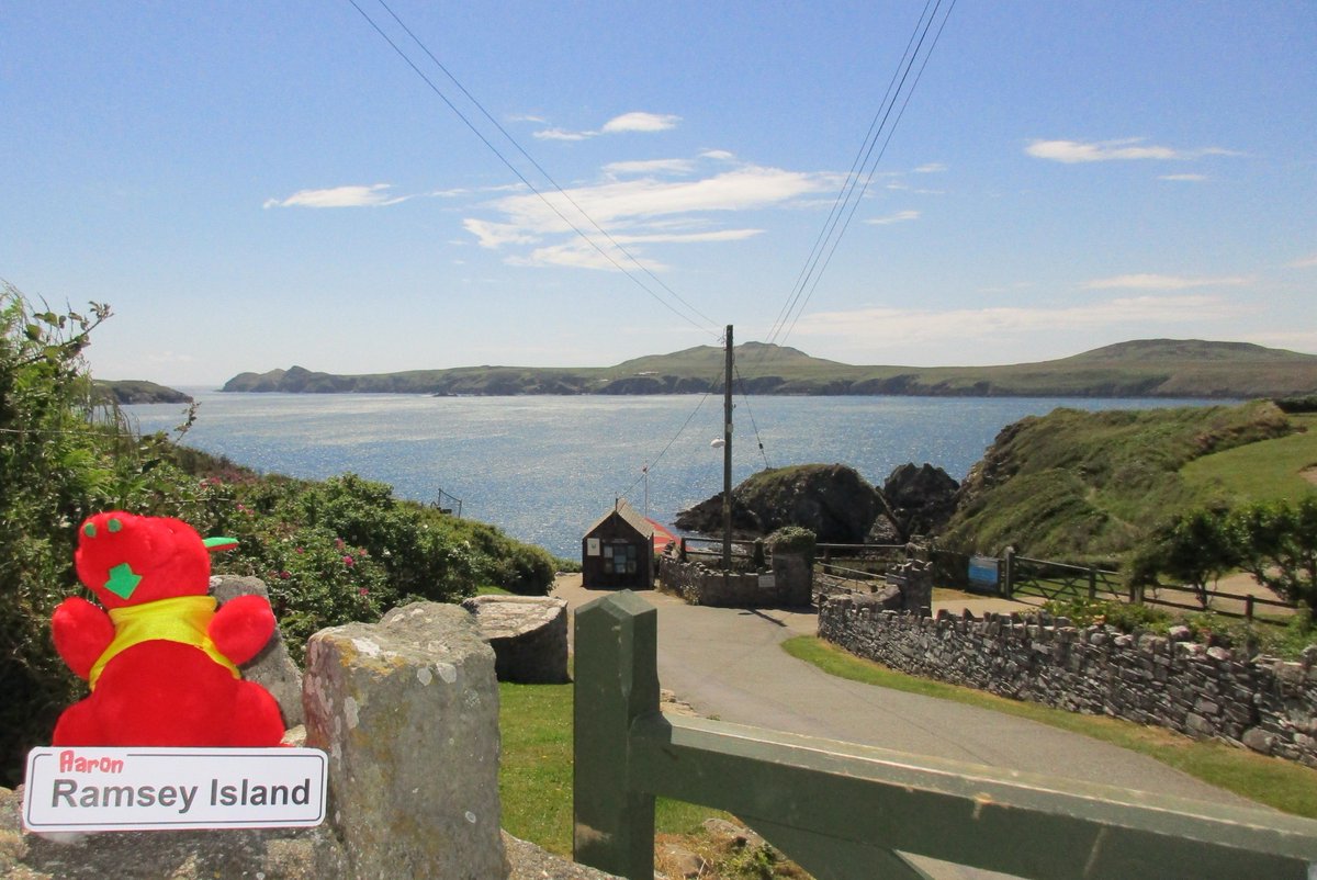 Rhodri Ddraig ger Aaron Ramsey Island #TogetherStronger <a href="/WalesOnline/">WalesOnline 🏴󠁧󠁢󠁷󠁬󠁳󠁿</a> <a href="/FAWales/">FA WALES</a> <a href="/MinnyStreet/">MinnyStreet</a> <a href="/capelygarn/">Capel y Garn</a> <a href="/BBCCymruFyw/">BBC Cymru Fyw</a>