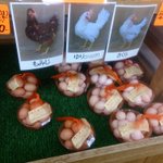 らくだみつかりましたか たくさんの動物の中からラクダを見つけられると 話題の画像プラス らくだみつかりましたか たくさんの動物の中からラクダを見つけられると 話題の画像プラス