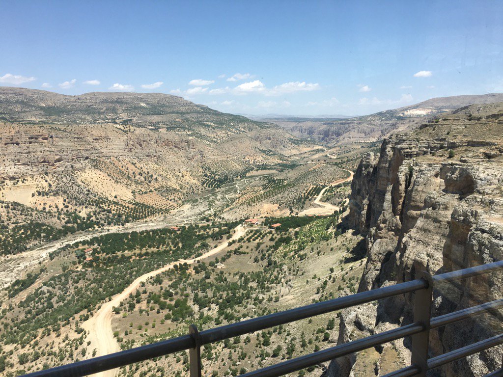 A.Y (@ginobilly) on Twitter photo 