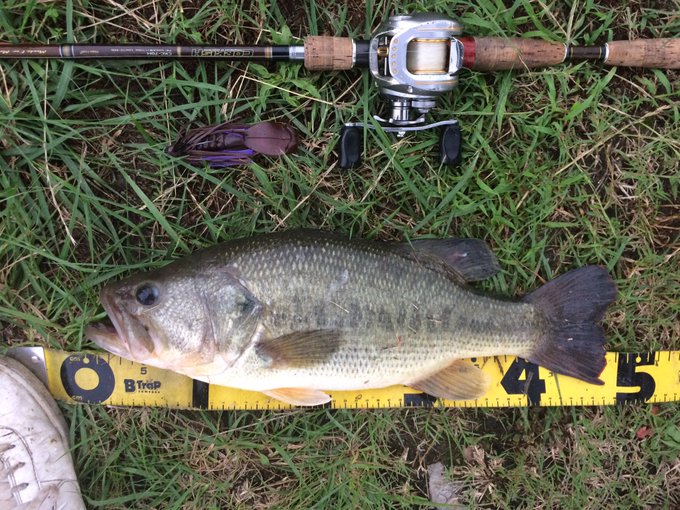 Deps リルラビットの特徴と使い方 バタバタで口を使わす Bass Zero