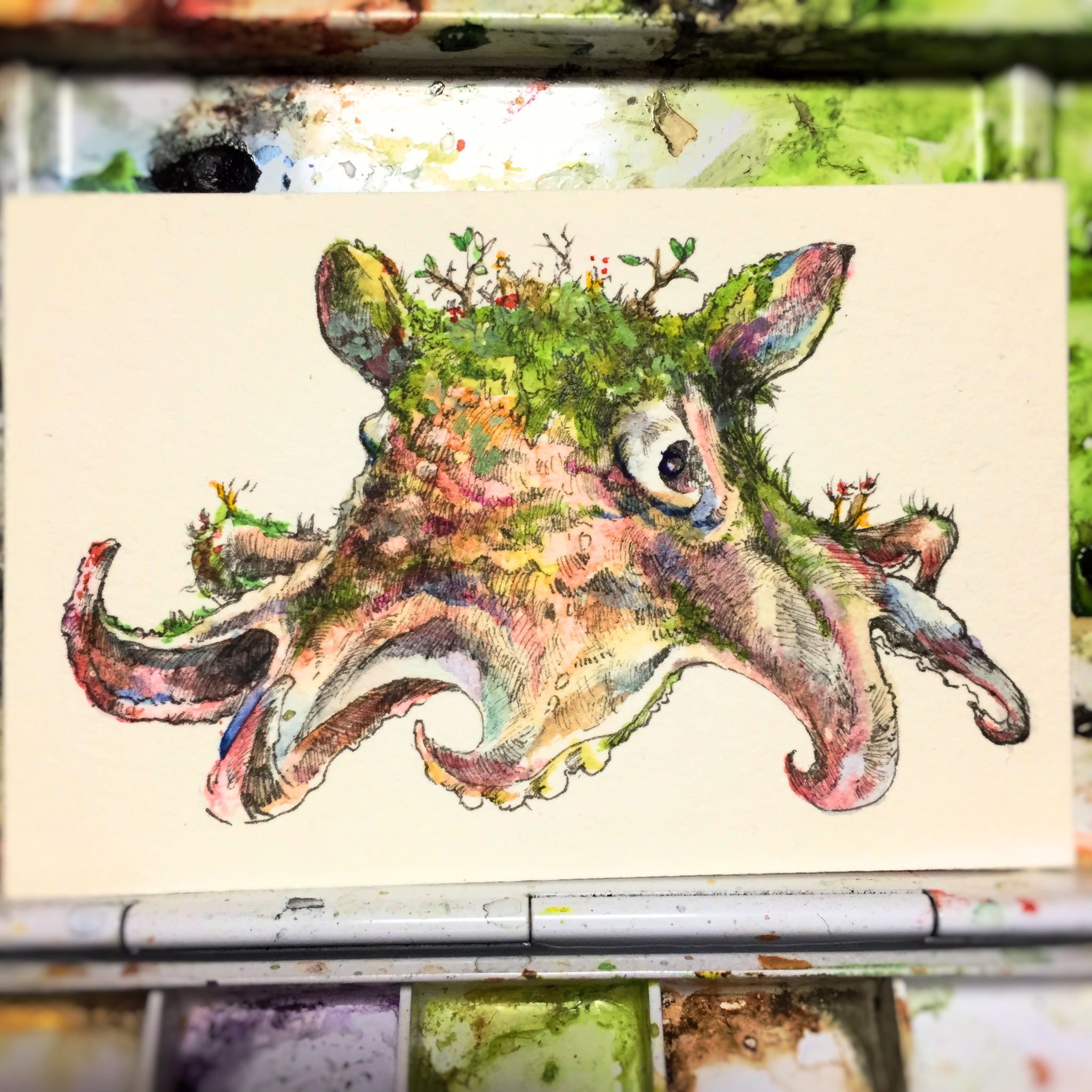 マツダケン　原画(タコ) マツダケン 原画(タコ) マツダケン原画(タコ)