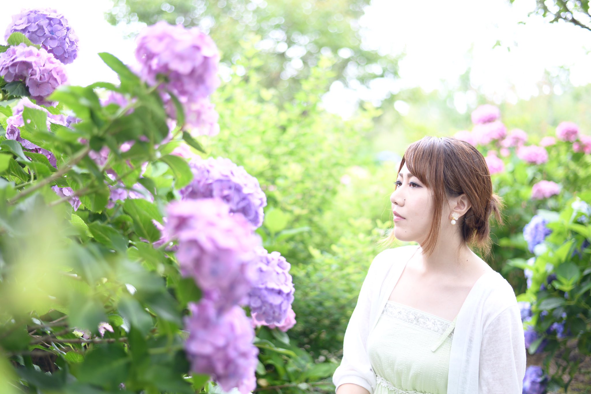 تويتر ニコン元気 على تويتر 紫陽花 モデル 渡邊芽久美さん 花野辺の里 千葉県勝浦市 T Co Yfnp8q0il9