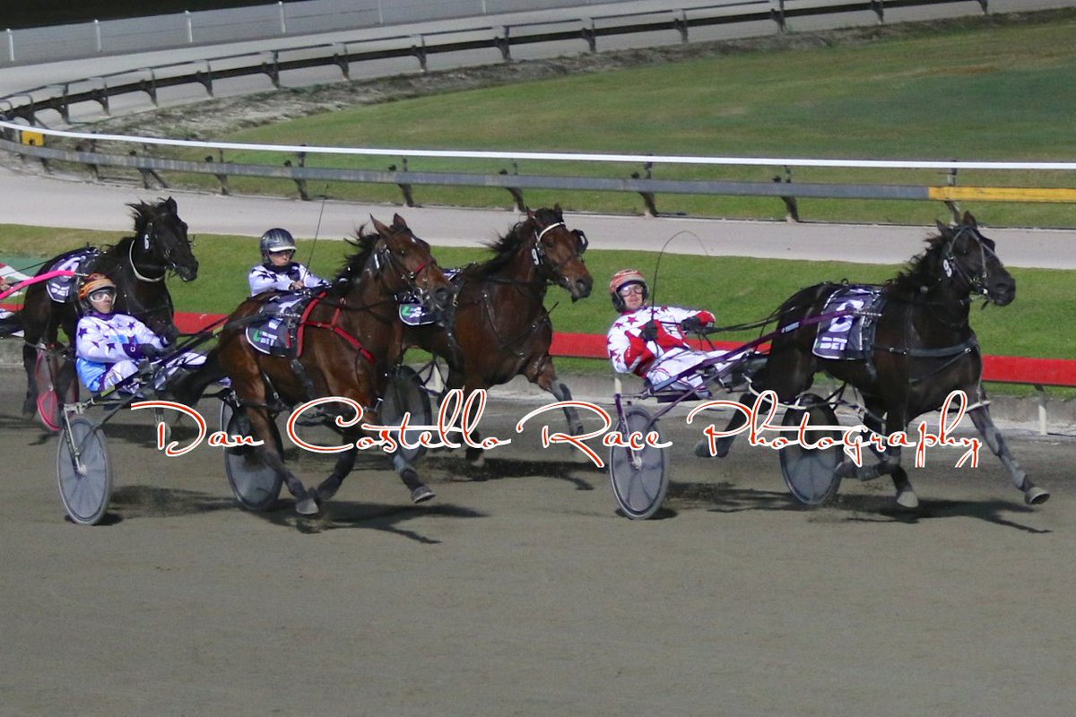 Dan Costello (@danracingwrap) on Twitter photo Three Dee Delight & <a href="/McmullenPeter/">peter mcmullen</a> race away R5 @AlbionParkHRC brings up treble for <a href="/turpinmcmullen/">TurpinMcMullenRacing</a> & race quinella Three Dee Delight & <a href="/McmullenPeter/">peter mcmullen</a> race away R5 @AlbionParkHRC brings up treble for <a href="/turpinmcmullen/">TurpinMcMullenRacing</a> & race quinella