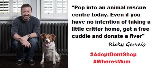 Do something good today, go and support your local animal rescue shelter ~ @RickyGervais #AdoptDontShop #WheresMum
