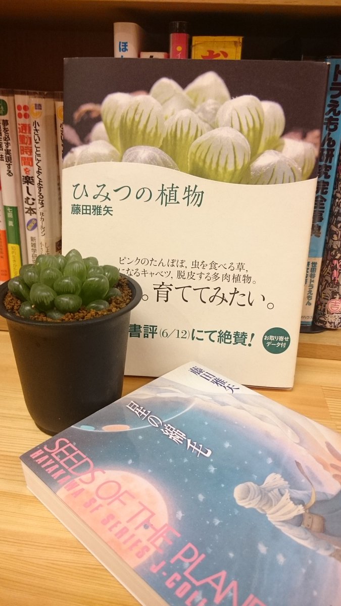 弥生坂 緑の本棚 今日の植物と本 再登場の ハオルチア オブツーサ と ひみつの植物 著者は 作家であり 育種家でもある 化石的植物 奇想天外 をタネから育てるところを読むと 挑戦したくなりますよ