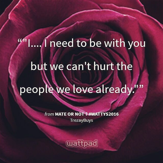 TrezayBuys's tweet photo. Mate Or Not? #Wattpad #Wattys2016 #books #author https://t.co/Je0hMH4494