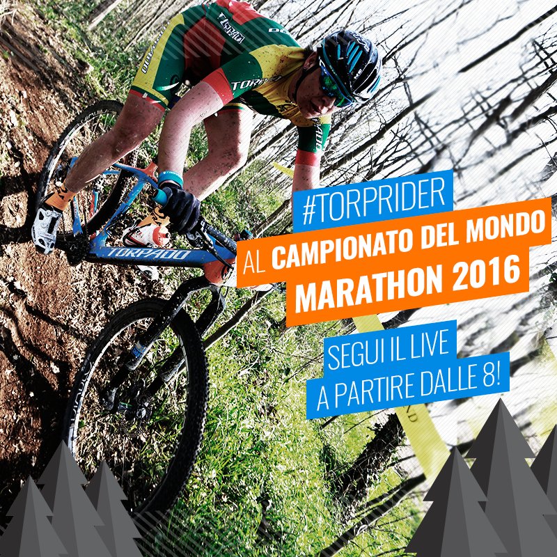 #CampMondo | Seguite I nostri #TorpRider sui nostri canali social! #TFT
Domani sarà Live!