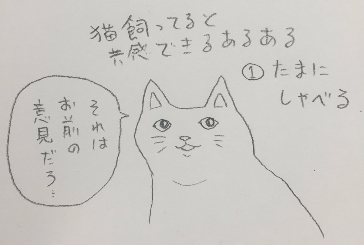 猫飼ってないけど、猫飼ってるていで猫あるあるエッセイを描きたい。 