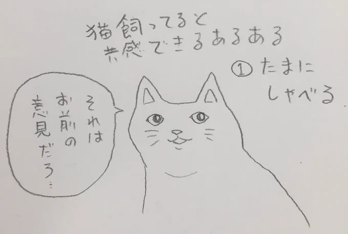 猫飼ってないけど、猫飼ってるていで猫あるあるエッセイを描きたい。 