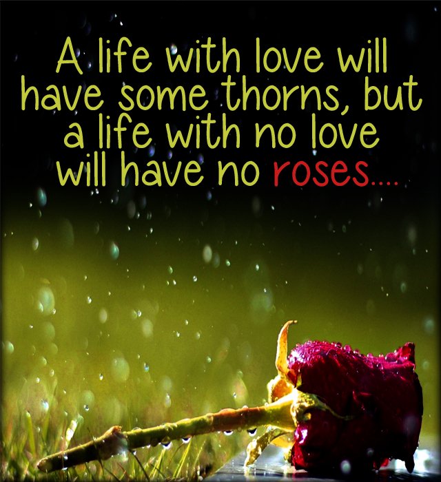 smsapplication5's tweet image. A #life with love will have some thorns, but a life without #love will have no #roses.
