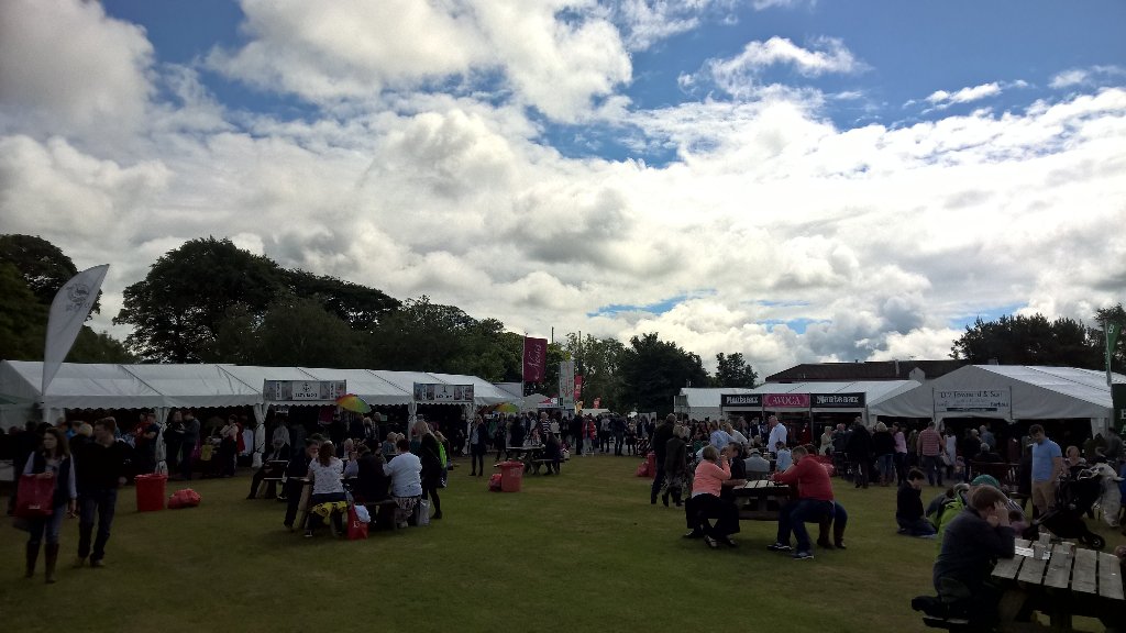 Kimkjaerside's tweet photo. My first year @ScotlandRHShow and pretty taken back by the sheer scale. Loving the outdoor food courts #RHS16 https://t.co/qwosfneBWG