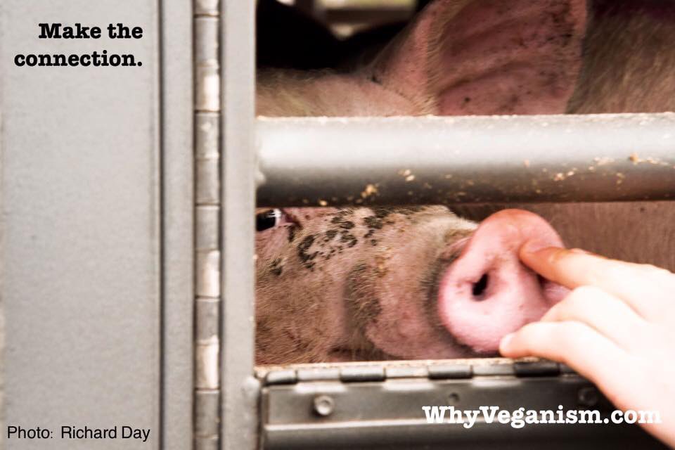 Get along if you can beautiful people, bear witness! Xx facebook.com/groups/5351060…