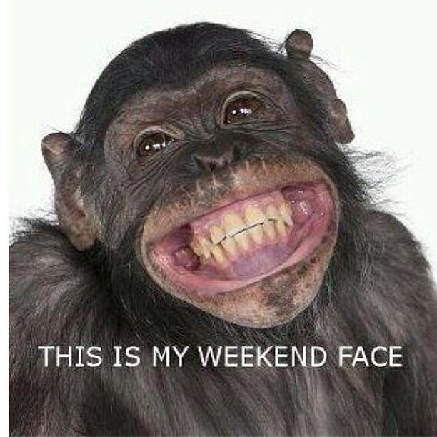Yippee its the weekend.  Took its time!!!!!