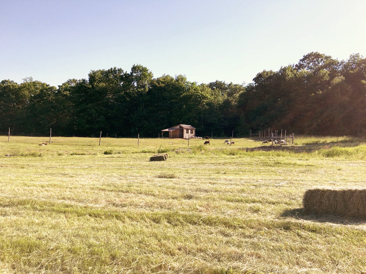 oldehaven's tweet photo. It's the simple things. #lifeisgood #LifeisBeautiful #Farmingisthelifeforme https://t.co/HcpGPGfYs9