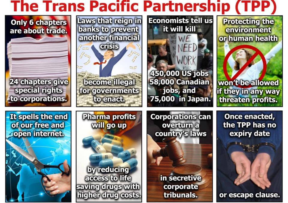 Jane Mann4Bernie tweet media