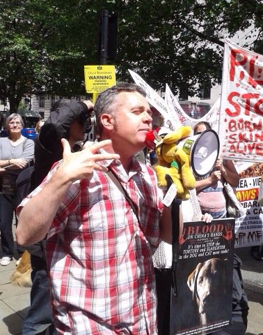 domdyer70's tweet image. Bringing fight against the horrific Yulin dog &amp;amp; cat slaughter to the door of the Chinese Embassy in London