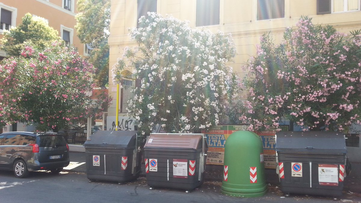 vloprino's tweet image. municipalizzate romane: secchioni su fermata. #pippe @virginiaraggi