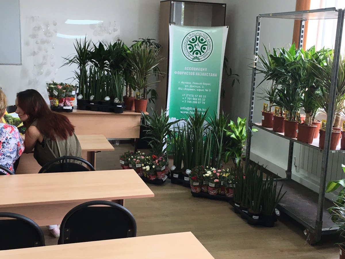 #3dflowers vandaag productpresentatie in Astana. Onze producten enthousiast ontvangen. #watjeverhaalt @Sjaloombv
