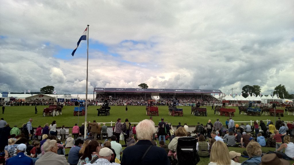 Kimkjaerside's tweet photo. An absolute joy walking around talking it all in @ScotlandRHShow Love the chainsaw carvings #ThisisEdinburgh #RHS16 https://t.co/HKTGvT72HJ