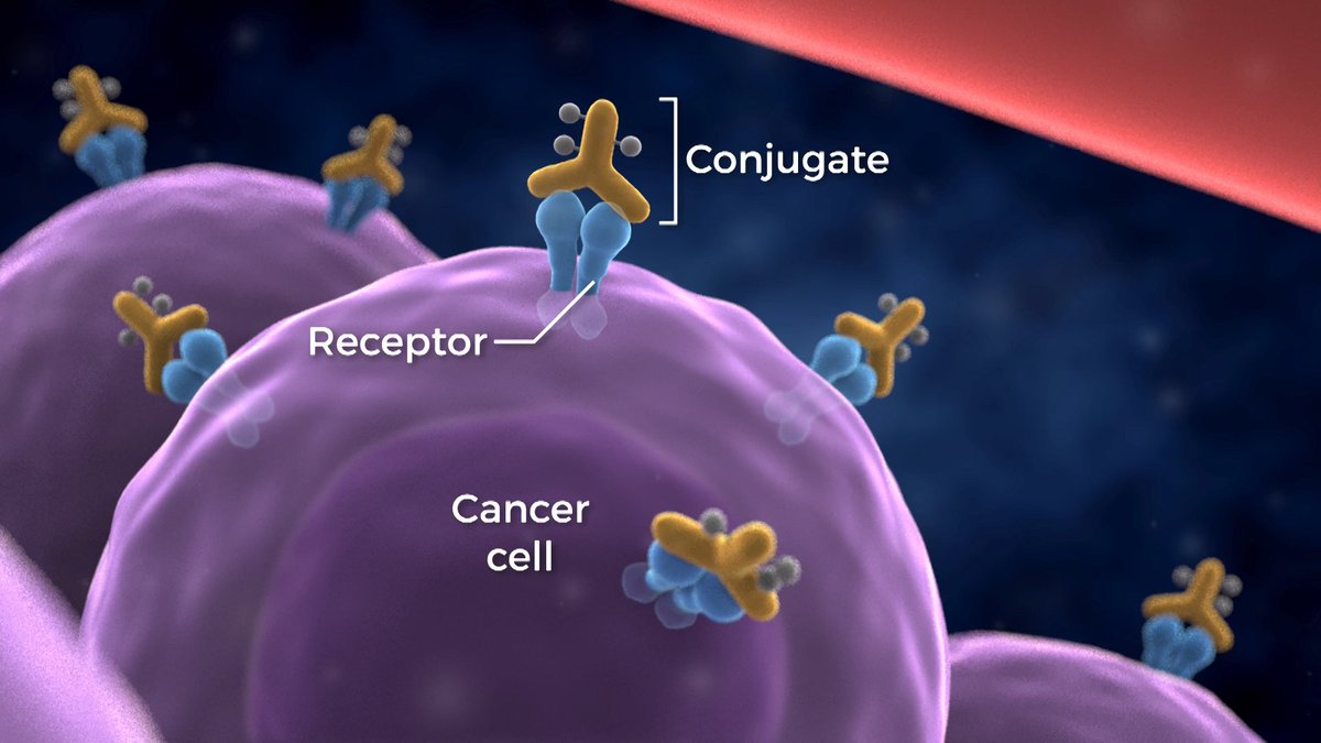 theNCI's tweet image. Targeted Photoimmunotherapy Approach for Cancer Moves Forward  1.usa.gov/1YQwTf0 #ImmunoOnc #AACR16