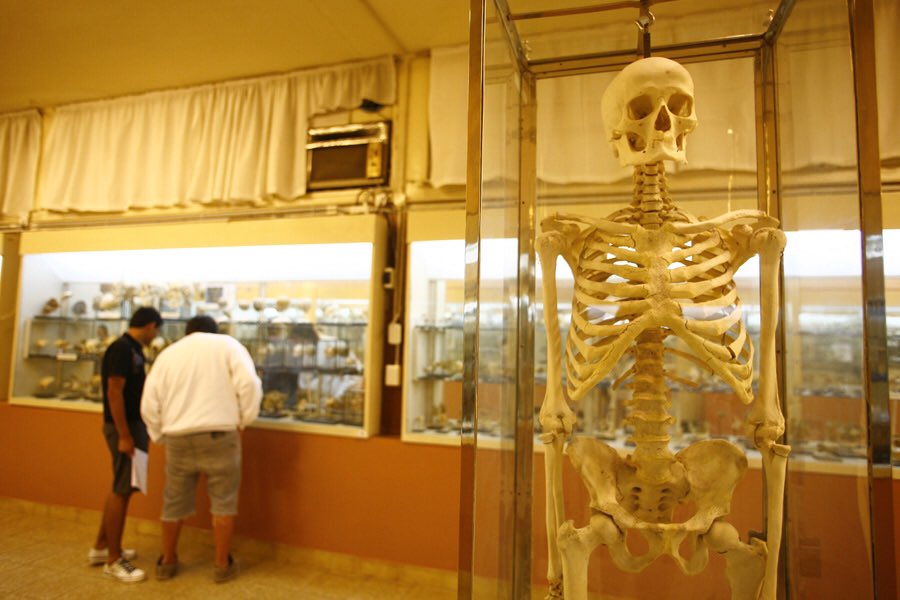 MUSEOSUNC tweet media