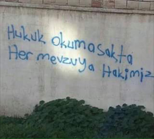 AlaattinCAGIL's tweet photo. Yürü be ! https://t.co/BNWKNr824X