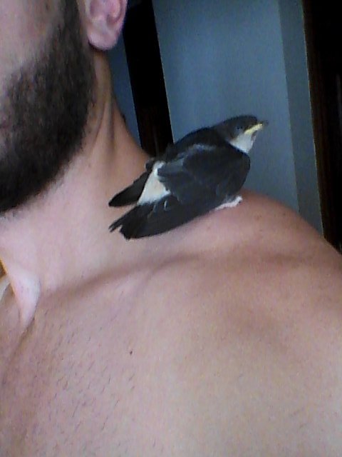 Alaisehh's tweet photo. El colega que te haces en el botellón https://t.co/YgFdMpYN3f