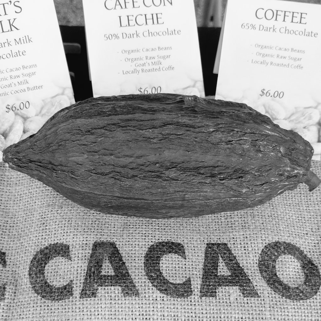 AffinityChoco's tweet image. This is where it all begins! Come learn more @mvfm024 9am - 1pm   #beantobar #chocolate  #cacao