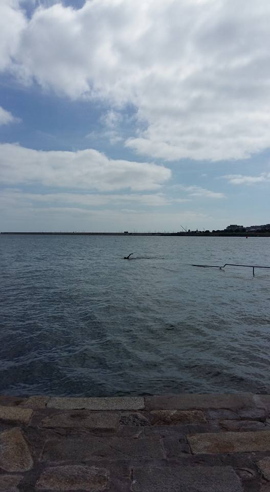 WeTri4Beer's tweet photo. I manned up last weekend and got some OWS done along the coast.
Are you back OWS yet @UkTriChat ?
#WeTri4Beer https://t.co/Quh2uQoDYy
