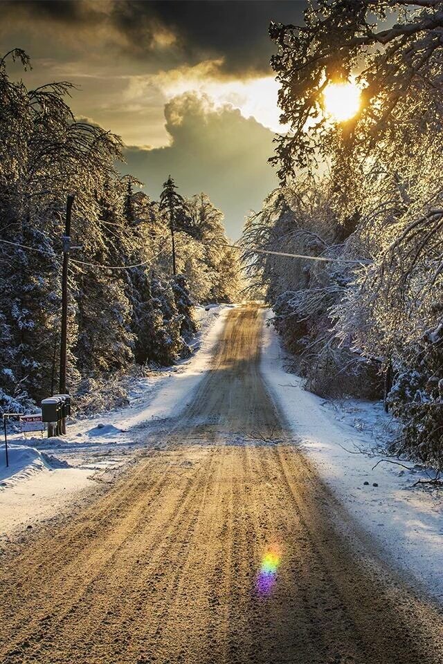 FER (@ferloruiz) on Twitter photo 