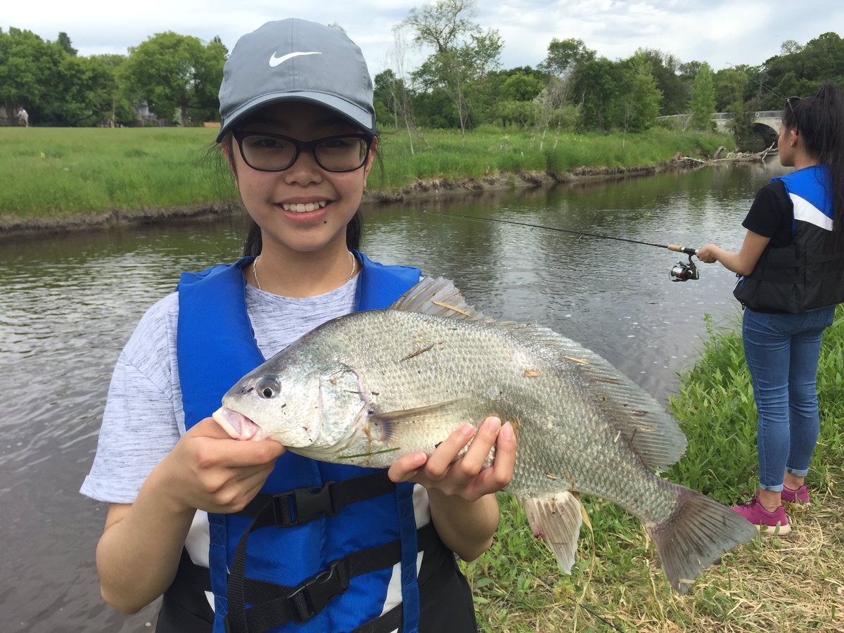 McIntyreAnglers's tweet image. Learning curve! Beautiful Freshwater Drum for this kid! 🐟 #freshwaterdrum #situatedlearning #winnipegsd #dmcintyre