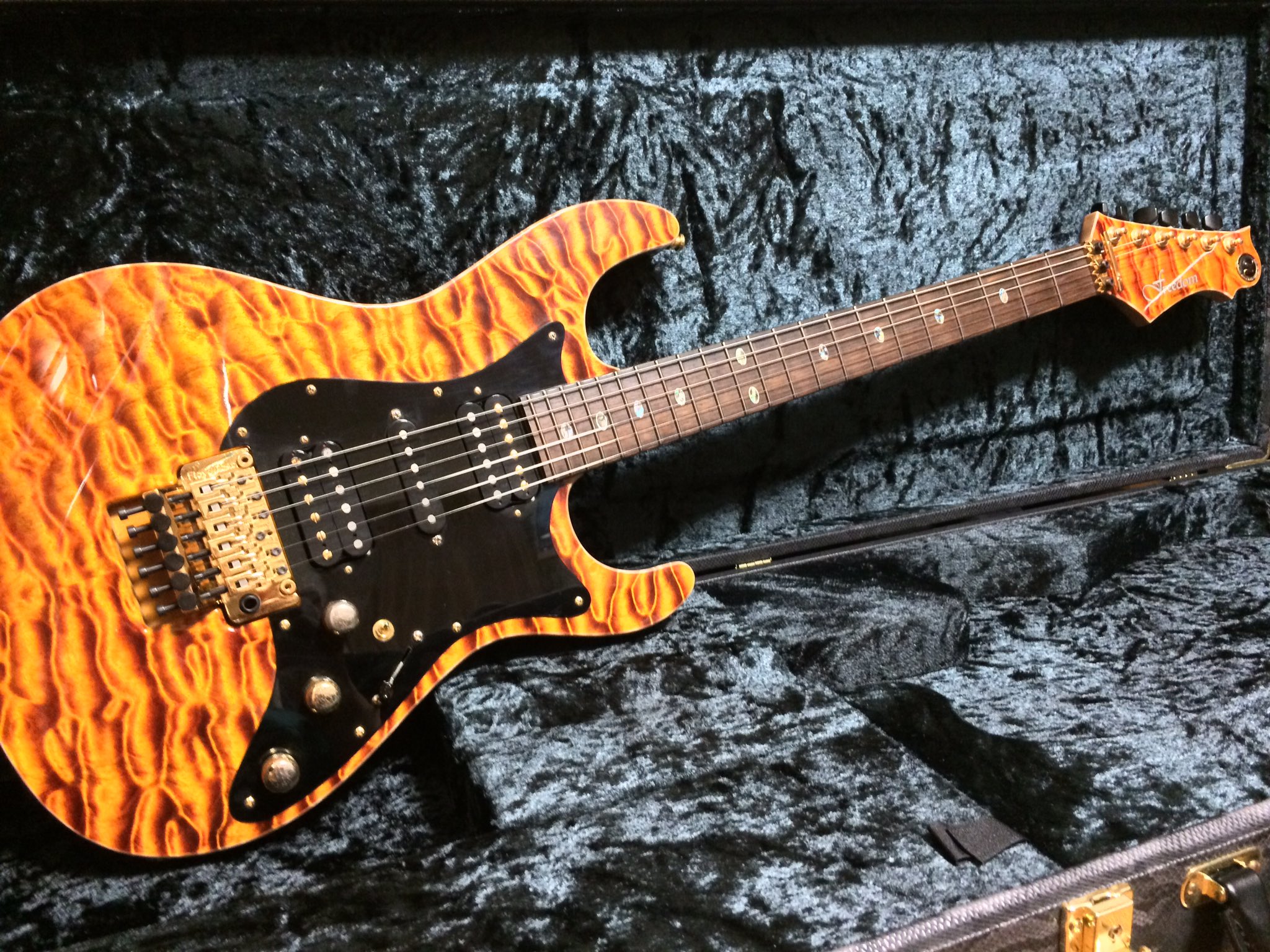 【美品】Freedom Custom Guitar Research Hydra Freedom Custom Guitar Research | O.S Hydra 24F-2Point