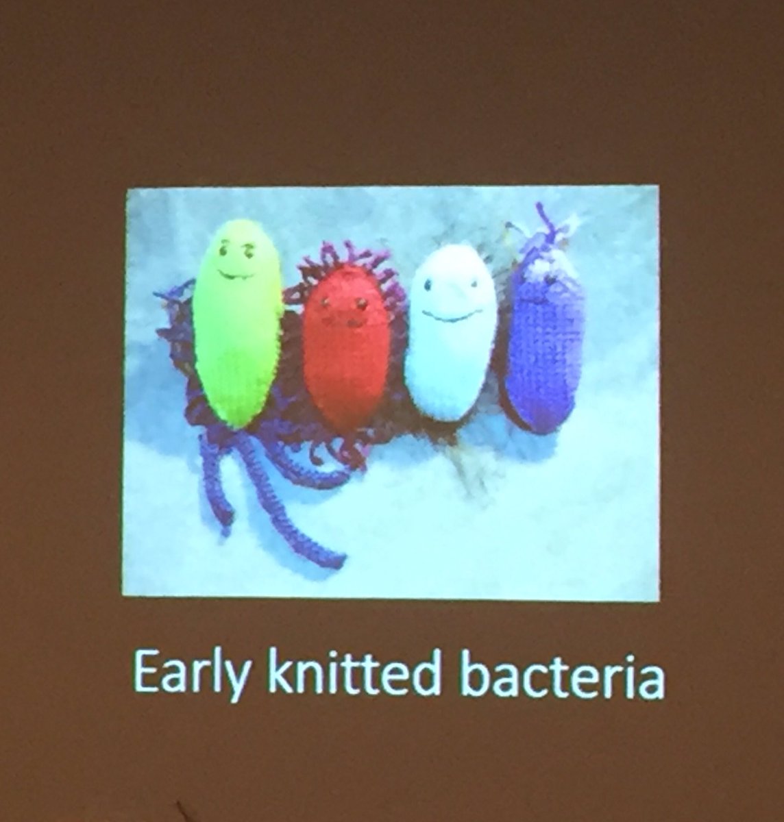 Food studies meets #knitting in <a href="/Lisaheldke/">Lisa heldke</a> talk on parasites, eating, &amp; philosophy #foodstudies2016 <a href="/ASFS_org/">ASFS</a>