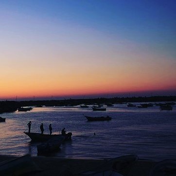 gitugj's tweet image. 