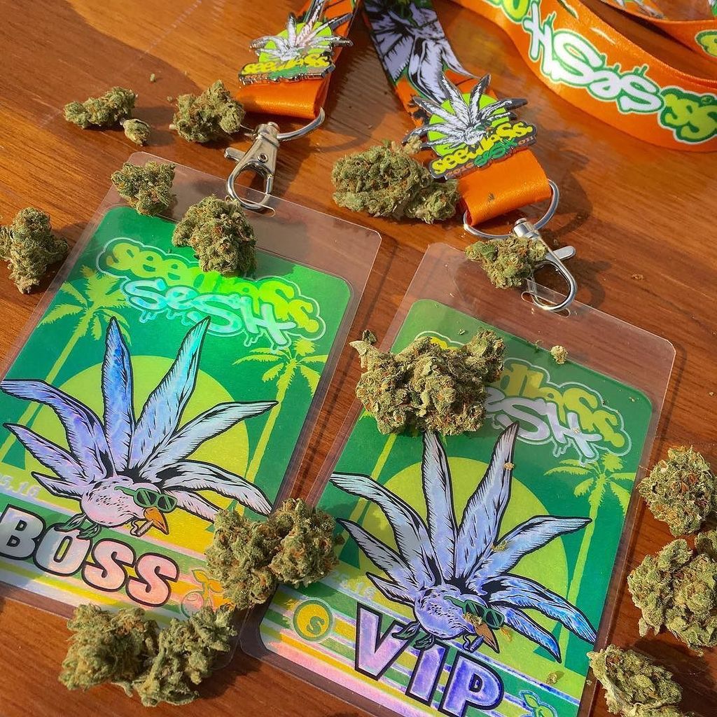 seedleSsmadneSs's tweet photo. @seedlesSsesh presented by @nugliferadio is today 2pm-9pm #comeseshwithus its a beautitful… https://t.co/R2wwiyTxZP https://t.co/EB4bX8t3aP