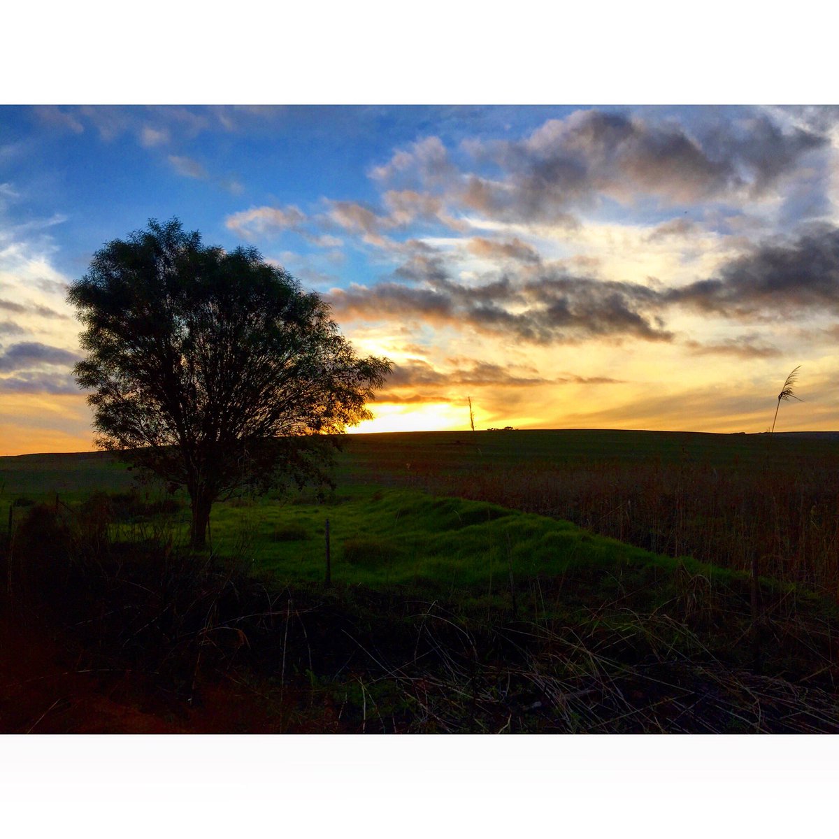 PeterPentz's tweet image. Nog 'n prágtige aand op die plaas.