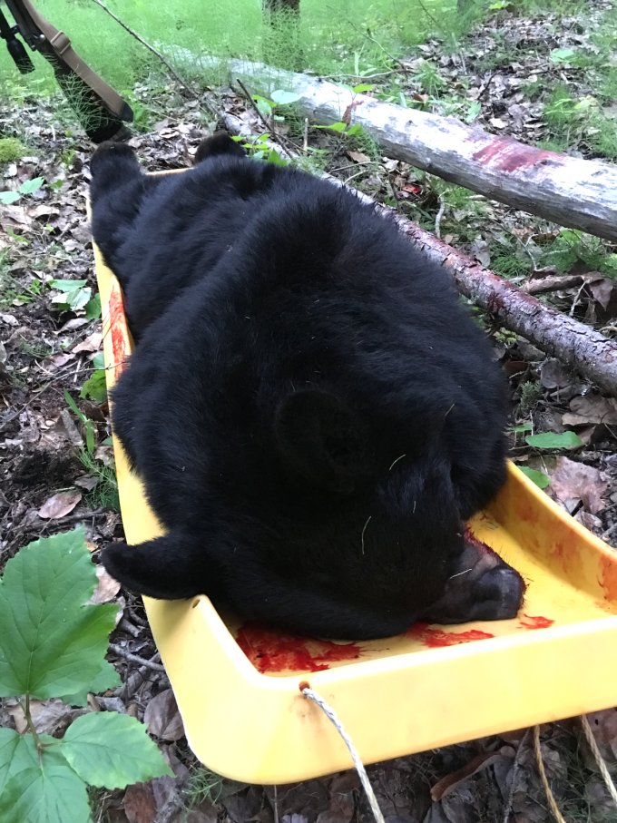 deerassociation's tweet image. Use a Kid’s Sled to Haul Out Big Game buff.ly/28YnORu #DeerHuntingTips