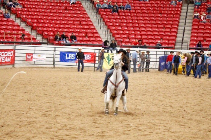 rodeograce's tweet photo. I'm having some serious roping withdrawals #dropdatass https://t.co/2baFKnPEcK