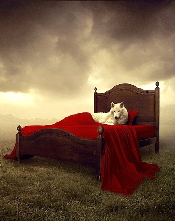 ShakesisterGrim's tweet photo. His statutes cancell'd and his treasure spent;
And yonder is the wolf that makes this spoil
#ShakespeareSunday
#HVI3 https://t.co/y3pUqJwvmz