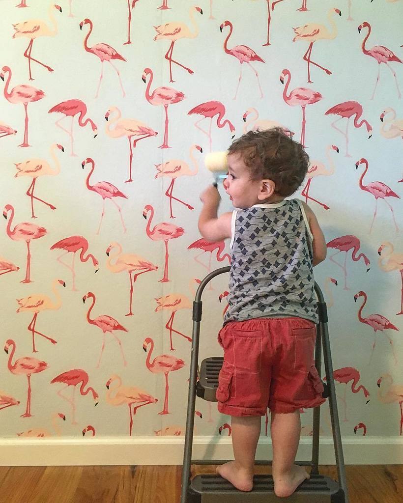 ryanfoy's tweet photo. Henry just casually putting up baby girl's wallpaper. #tinyfoy #flamingos https://t.co/5SRh3SlcVK https://t.co/ooUieoj6GI