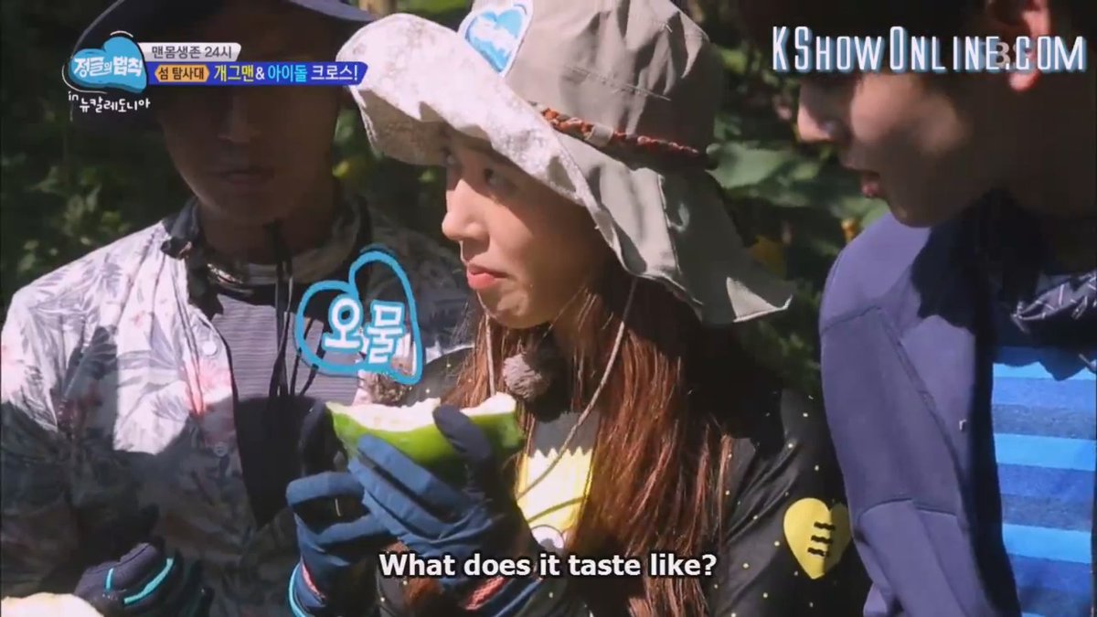 law of the jungle kshowonline