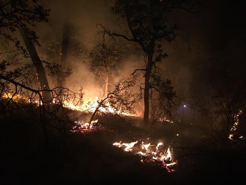 CAL_FIRE's tweet photo. #FiddlerFire [update] Igo (Shasta County) is now 431 acres and 50% contained. https://t.co/KSCfGF0Rt4 https://t.co/xydANIiAOs