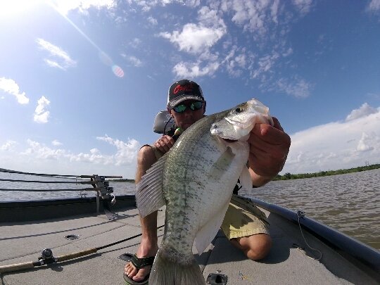 Russgates's tweet photo. The hog days of summer!!! #gatescustomjigs #ozarkrods #SlabNasty https://t.co/5HayzBIx4Z