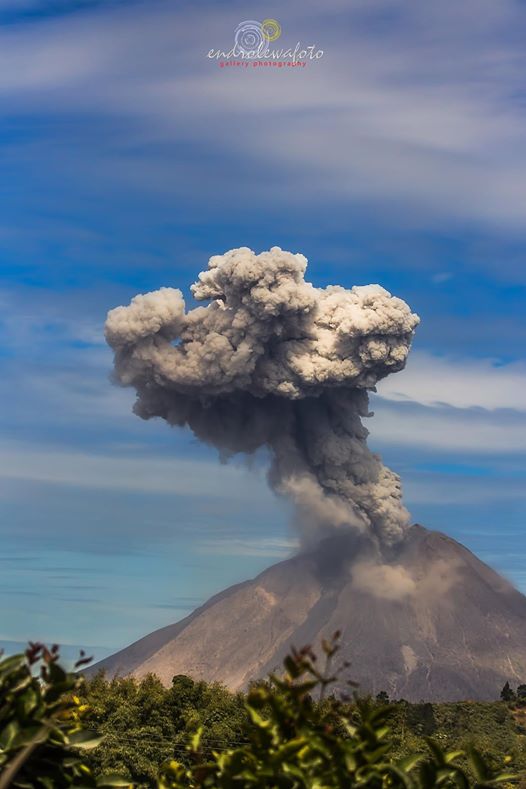 Leopold Kennedy Adam tweet media