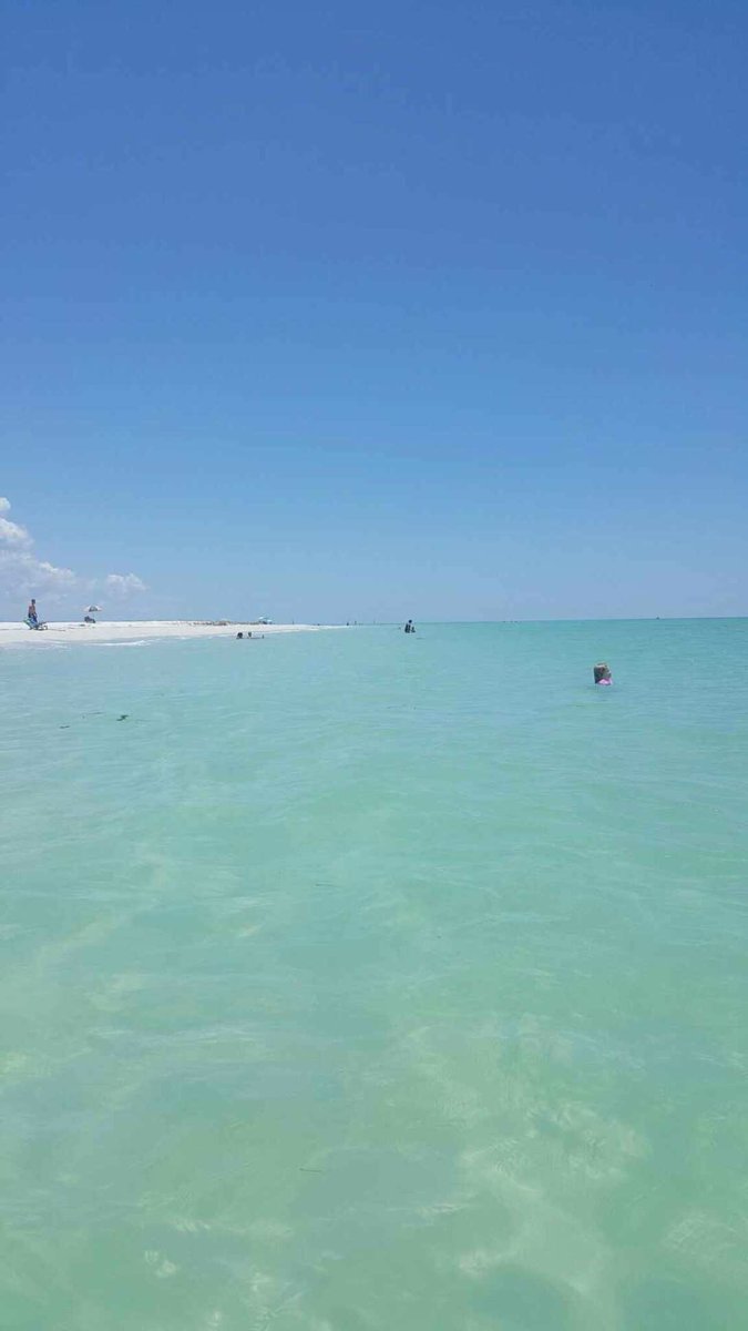 freshour_megan's tweet photo. Oh how I wish I could go back!! #siestkey #bestbeachever ❤️ https://t.co/tNUzdPg54v
