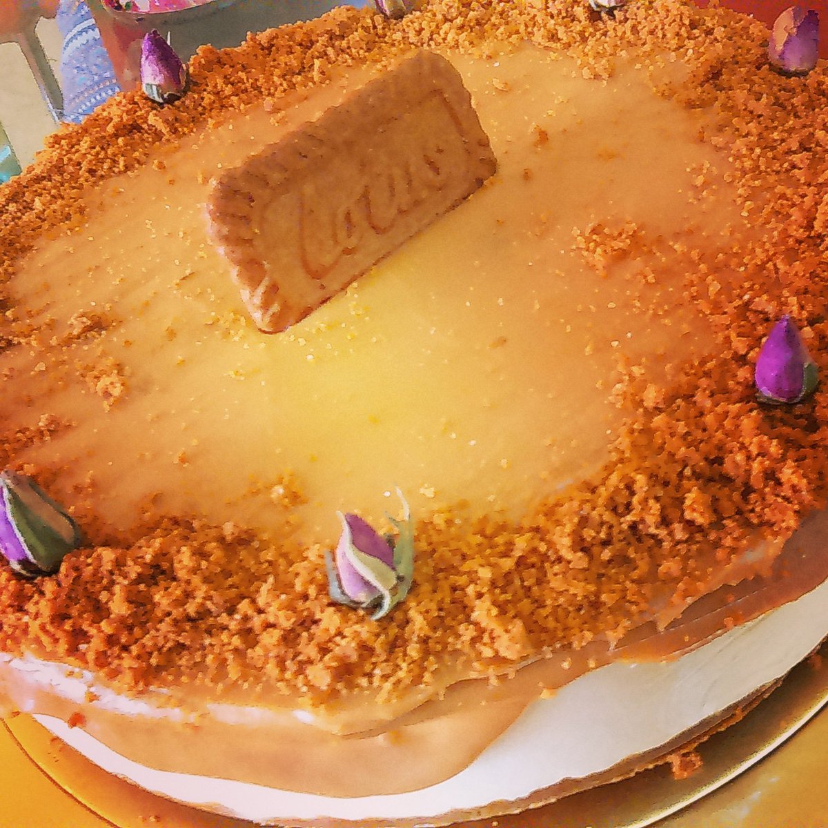 rannooeid2's tweet image. تشيز اللوتس