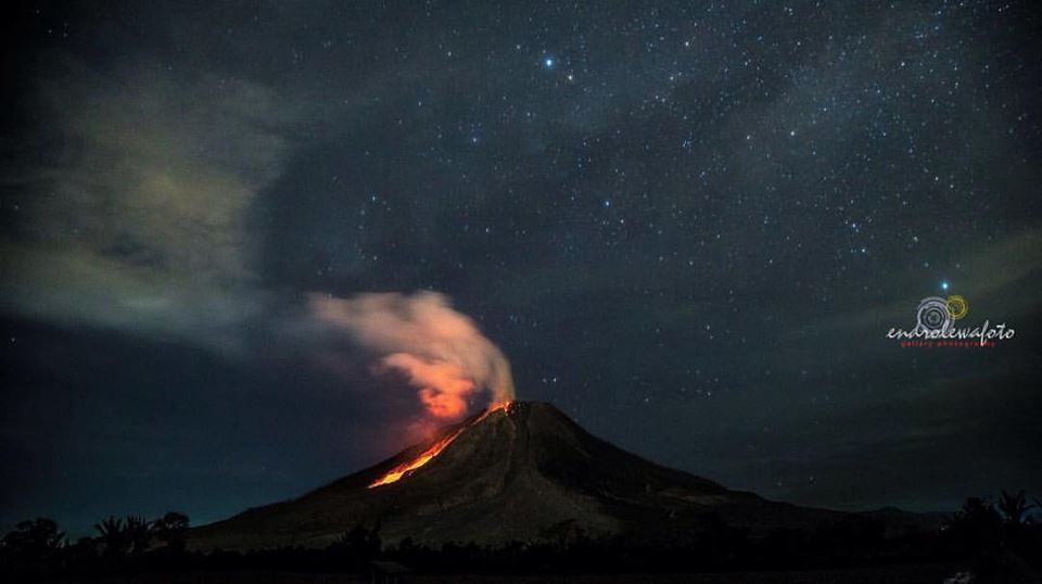 Leopold Kennedy Adam tweet media