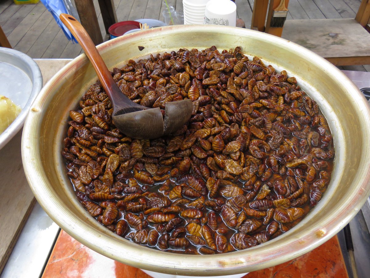 柚香 Sur Twitter ポンテギ 蚕のさなぎ 韓国へは美味しいものが食べたいがために行くことが多いけど これだけはムリ 蚕さんは食べるより絹を作って欲しい Food Trip 韓国 旅行 虫